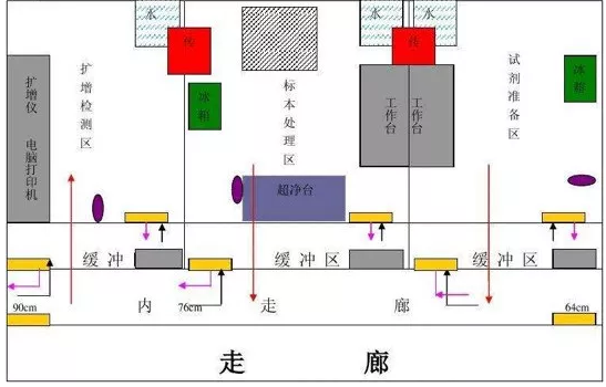 PCR實驗室規(guī)劃設計，一切從0開始